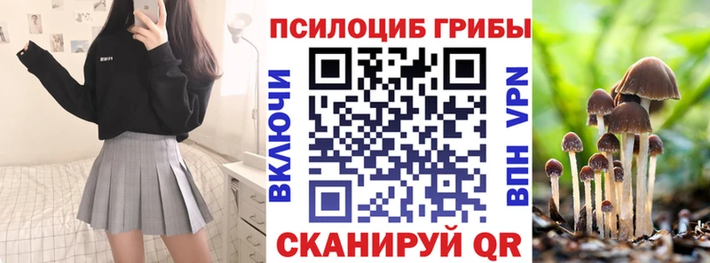 Галлюциногенные грибы Psilocybine cubensis  kraken как войти  Чернушка 